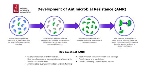 express s02e05 amr|Global monitoring of antimicrobial resistance based on  .